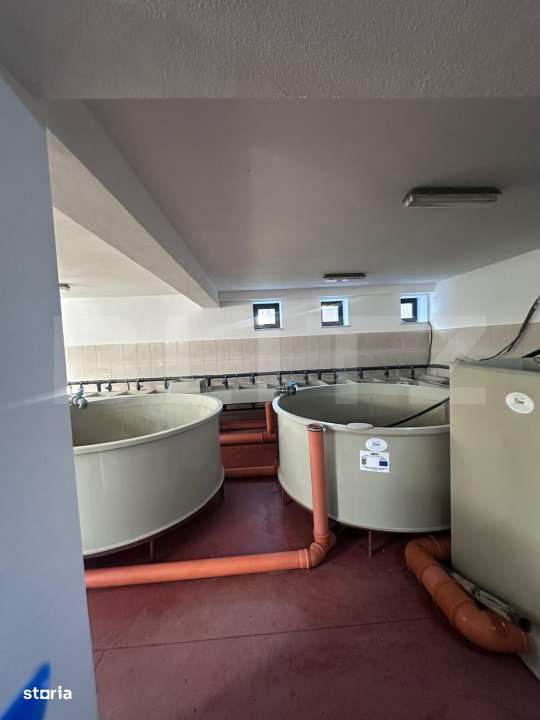 Pensiune/Ferma pescicola la cheie, teren 4000 mp, zona Molid, 0% comis - Imagine principală: 5/6