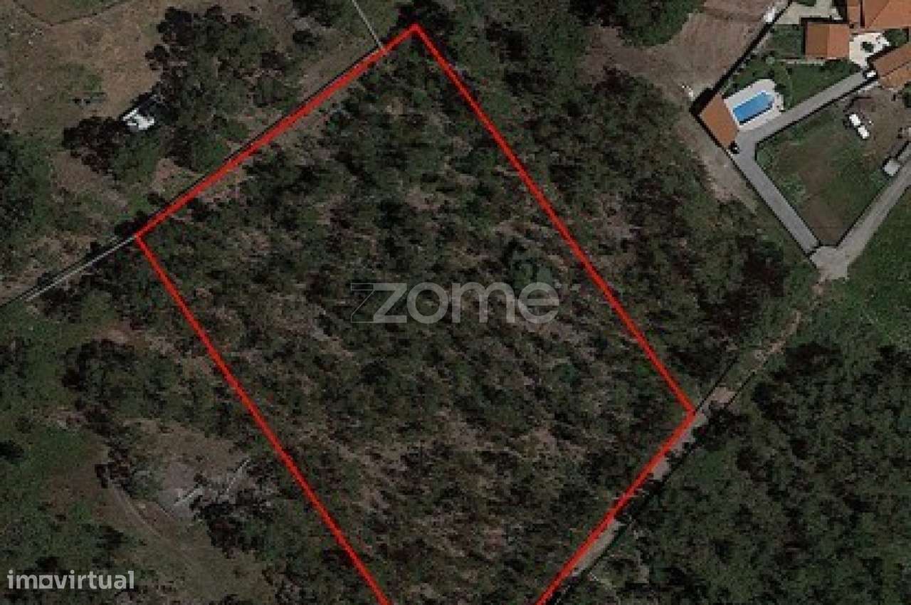 Terreno Rústico de 9.124 m2 em Barreiras - Monte Córdova - Grande imagem: 5/11