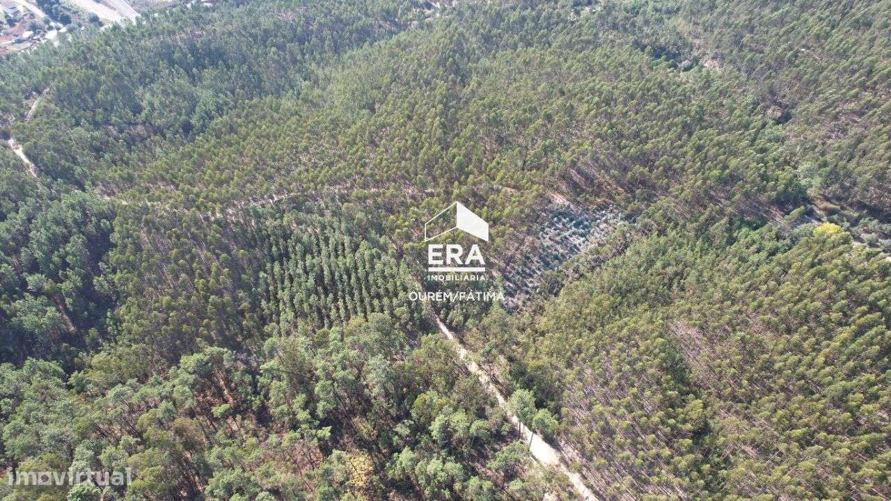 Terreno Rústico localizado no Cercal, Ourém - Grande imagem: 5/21