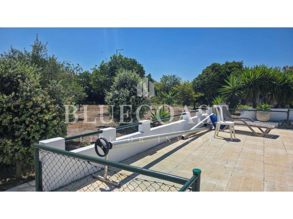 Moradia V4 com Piscina e Churrasqueira - Excelente Espaço Exterior-45