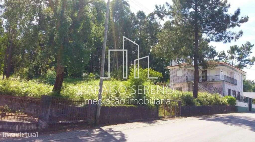 Terreno Caldas de São Jorge - Grande imagem: 5/5