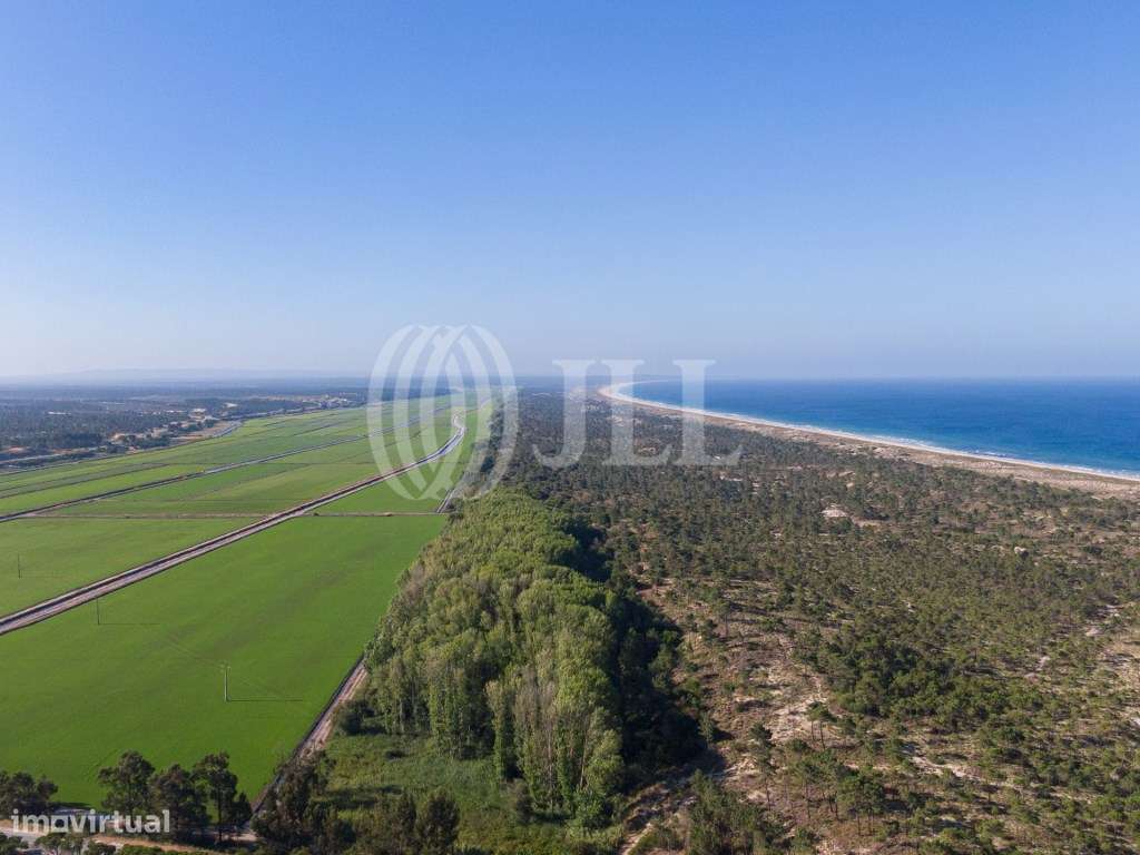 Terreno com projeto para de moradia, Comporta - Grande imagem: 5/13