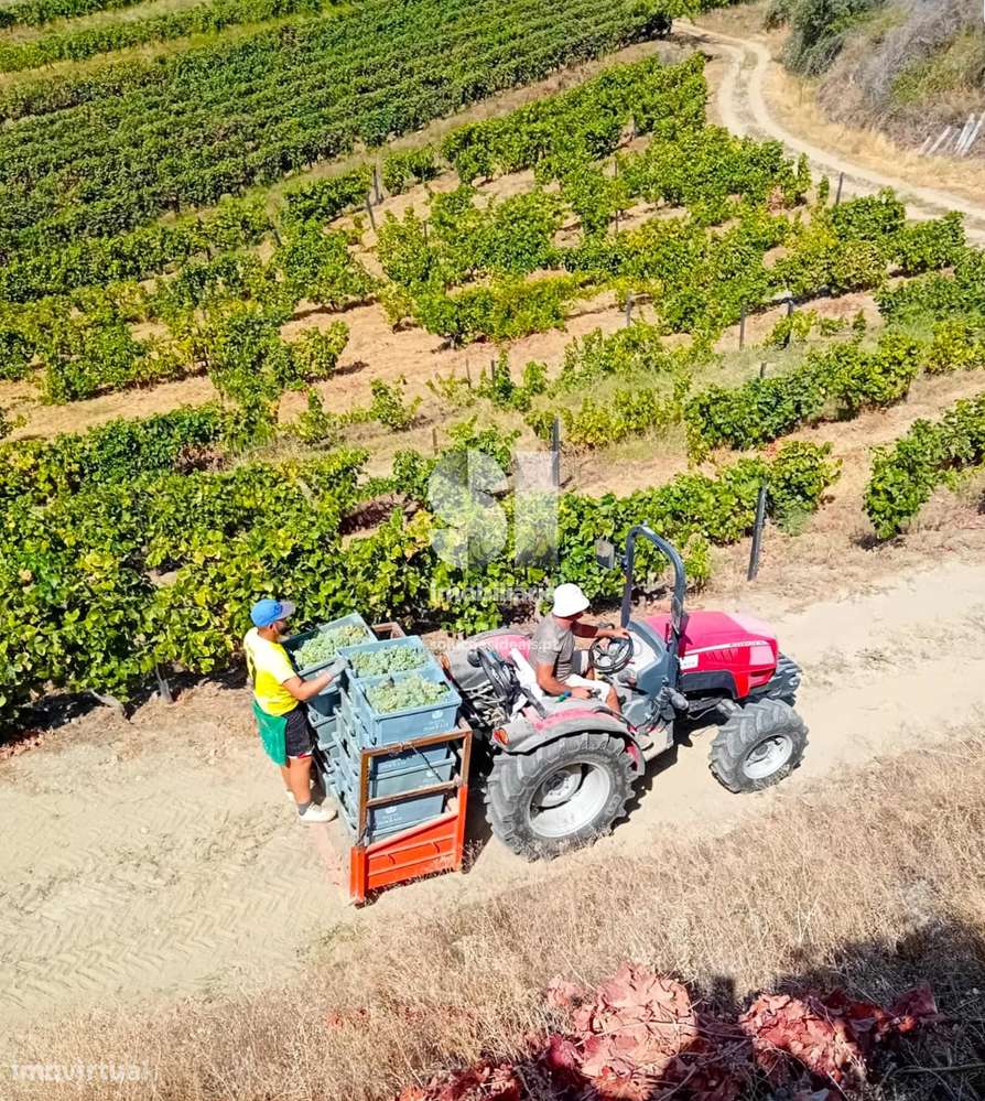 Propriedade Agrícola - Grande imagem: 5/40