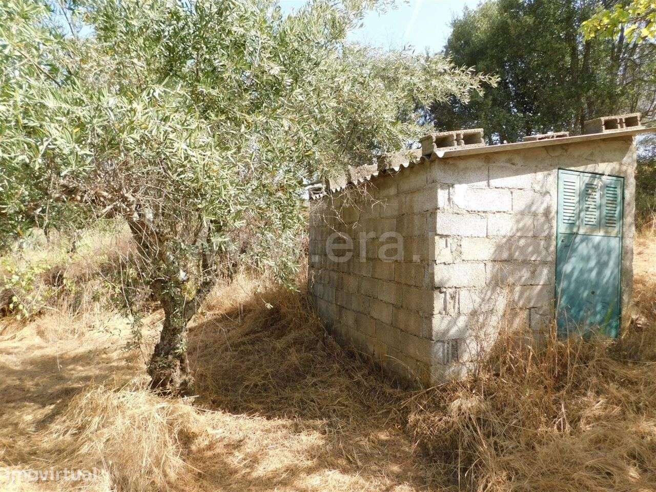 Terreno Rústico / Fundão, Capinha - Grande imagem: 2/2