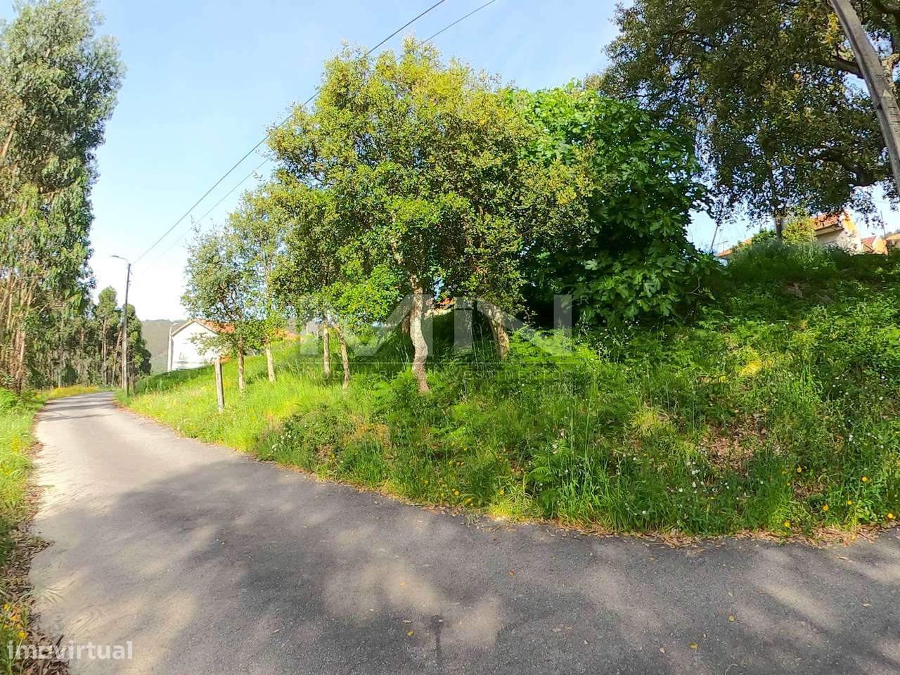 510m2 de Natureza a um Passo do Porto - 2 frentes-6