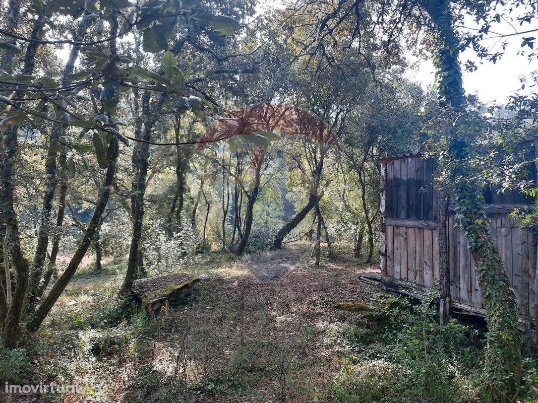 Terreno  para venda