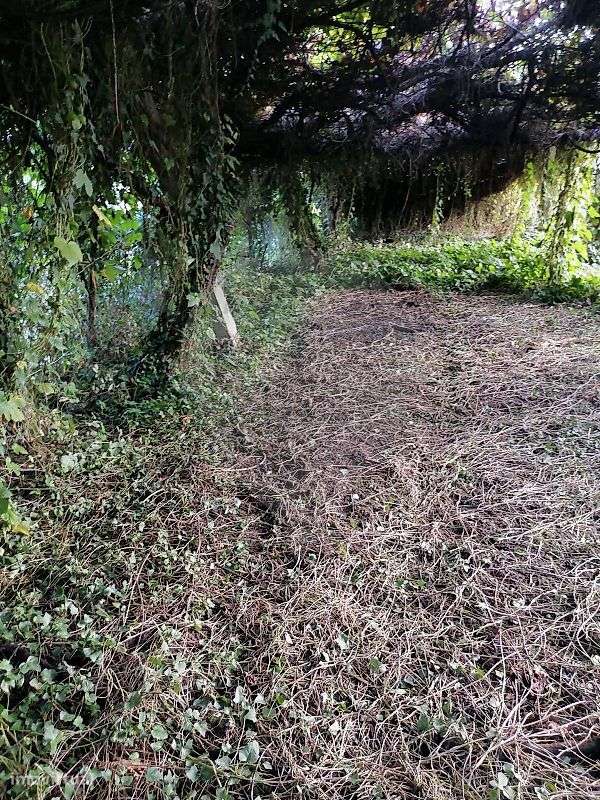 Terreno  para venda-8