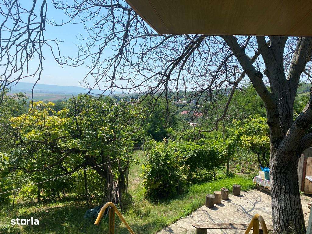 Teren 1000 mp si casa 75 mp - Imagine principală: 5/6