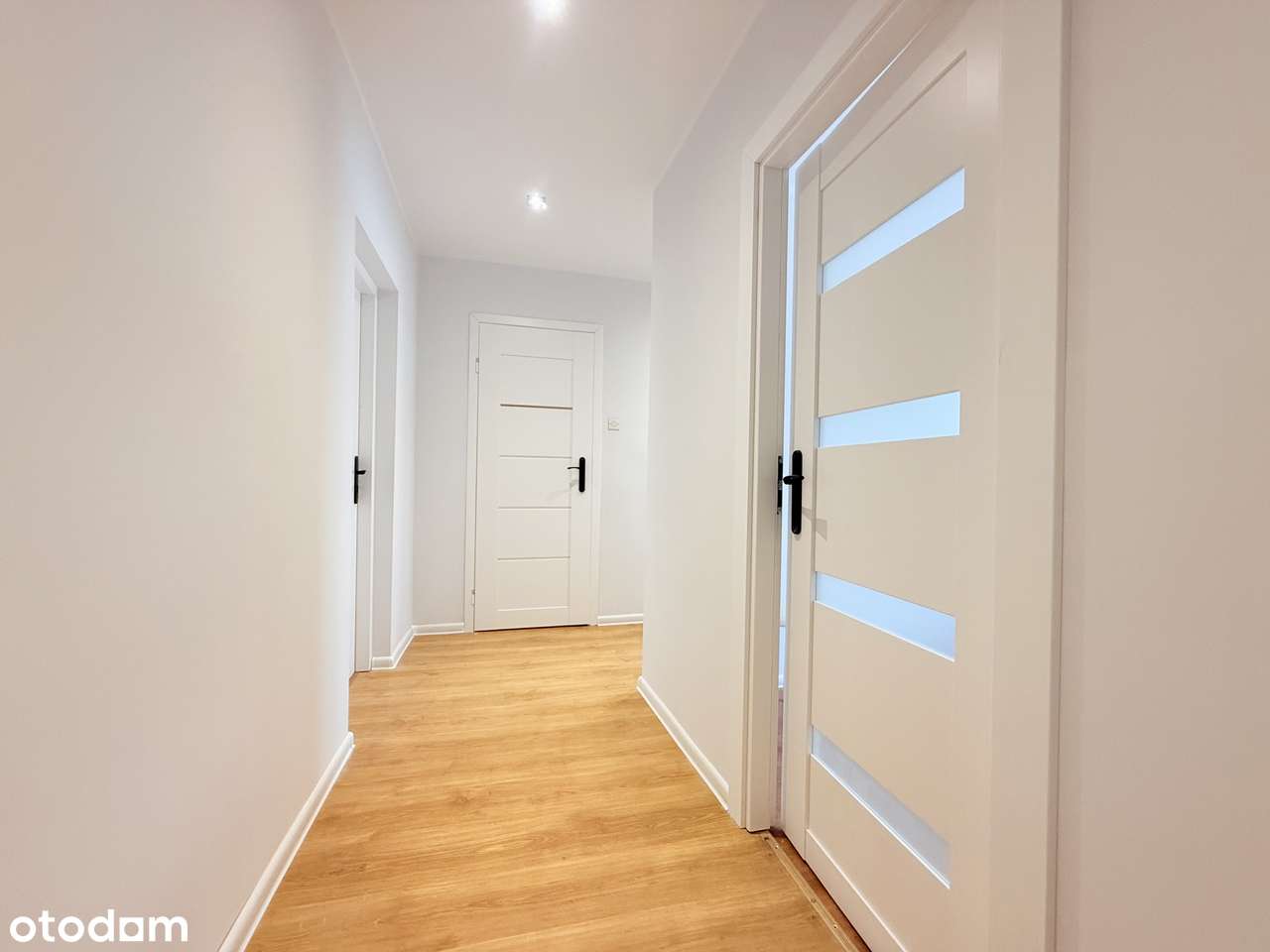 Słoneczne, przestronne z dużym balkonem ... - Pełny obrazek: 5/12