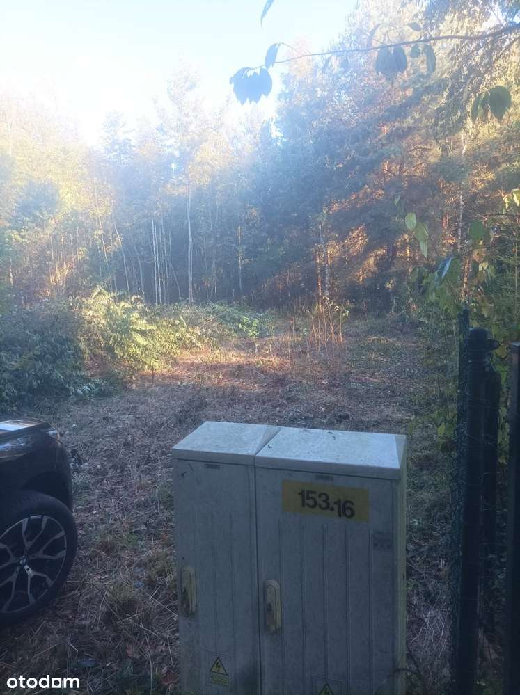 Budowlana / Otoczenie Las-2