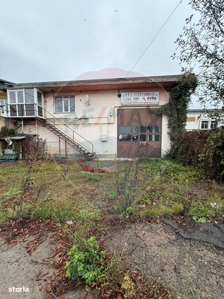 Hala - zona KAUFLAND Burdujeni-6