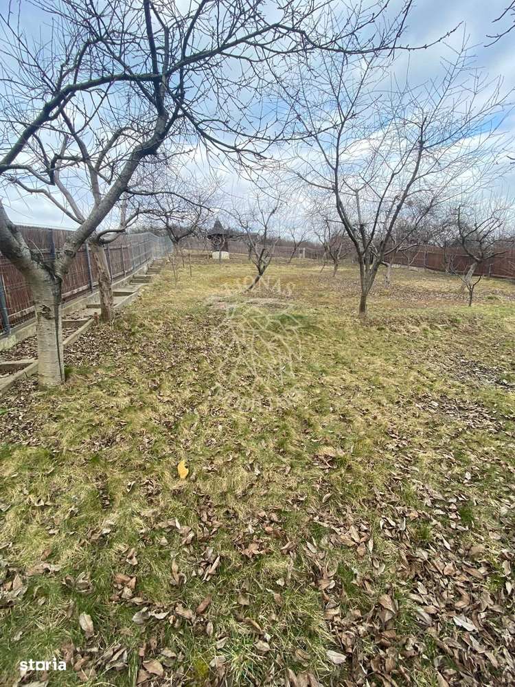 Teren intravilan 1000 mp+magazie-ideal casa-imprejmuit-Valea Rusului - Imagine principală: 4/4