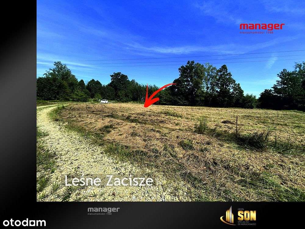 Działka, 2 112 m², Rudy-9