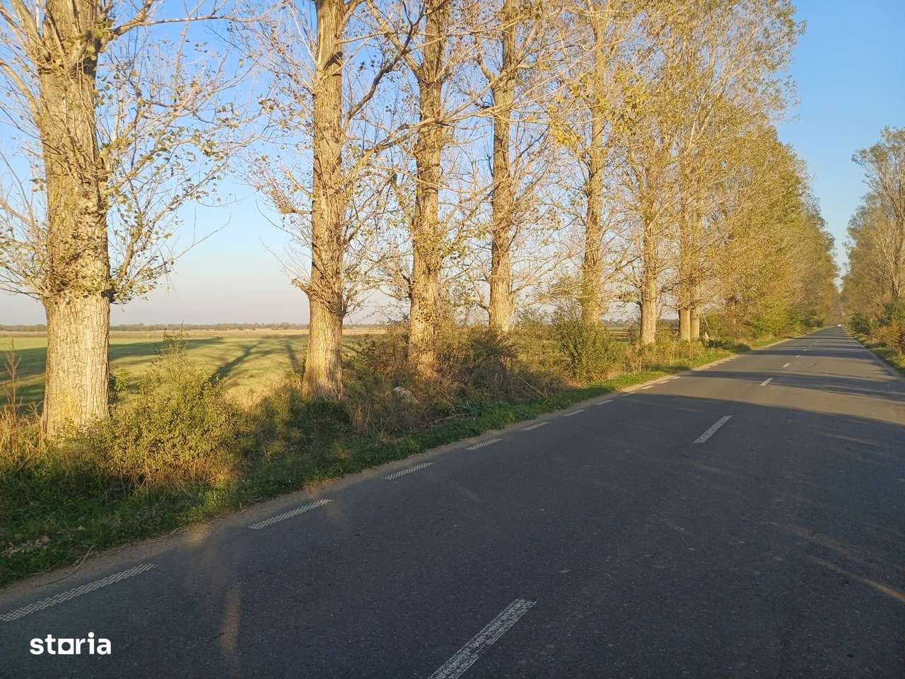 Lipia deschidere la DJ 101B ( Snagov-Nuci) - Imagine principală: 5/10