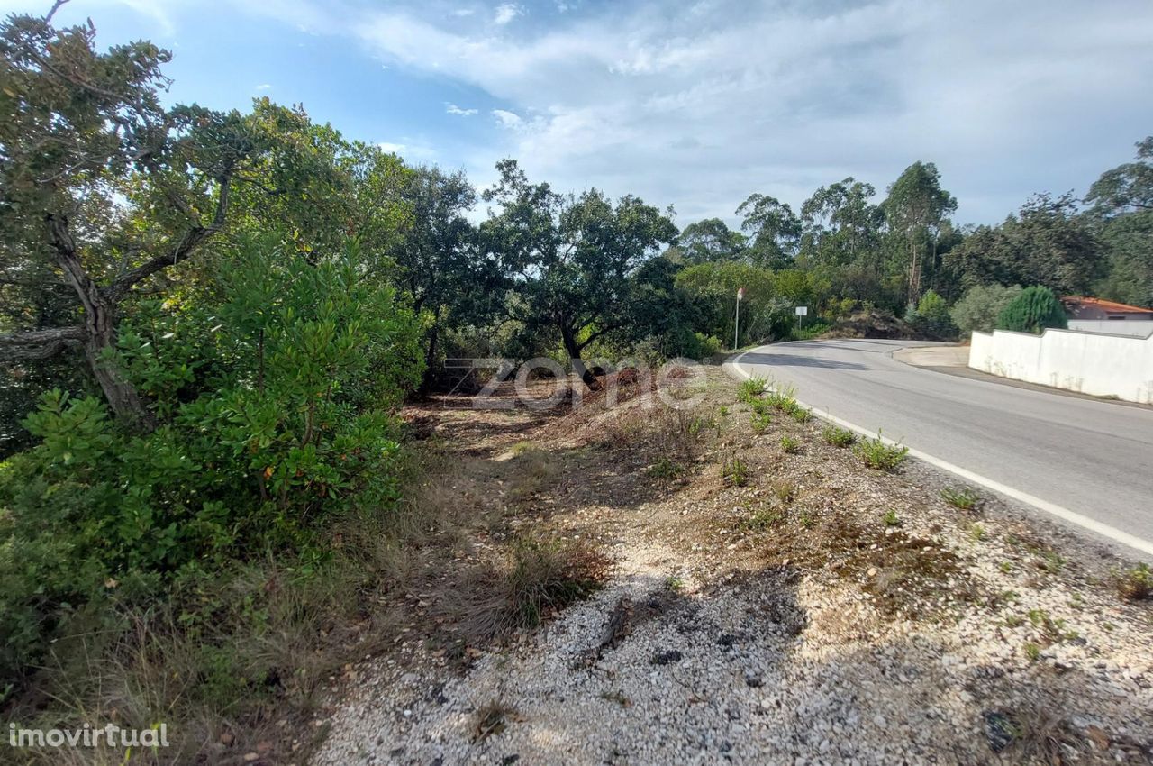 Terreno urbanizável com mais de 8500m2 nos Chãos, a 5 min. de Alcob...