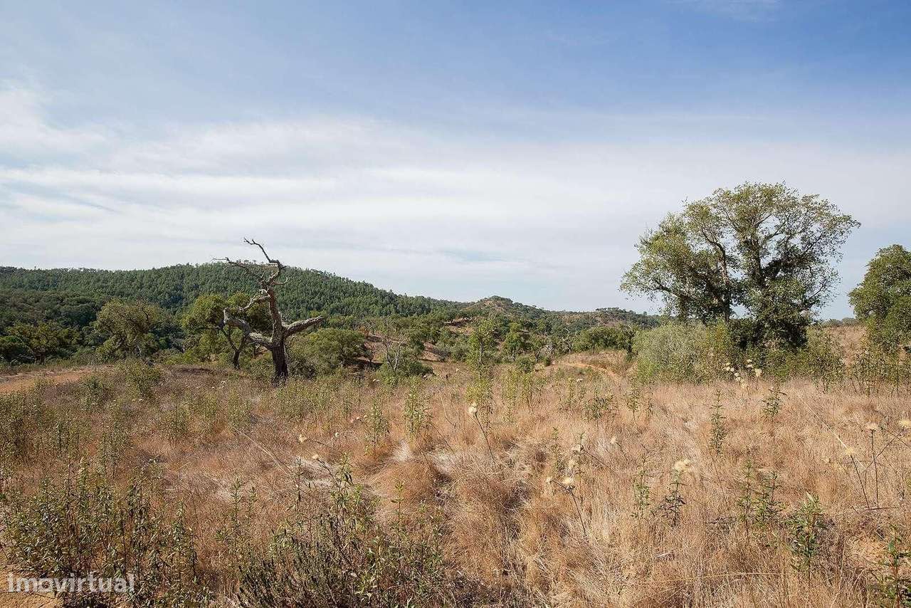 Herdade 110.0 ha, Santiago do Cacem - Grande imagem: 3/23