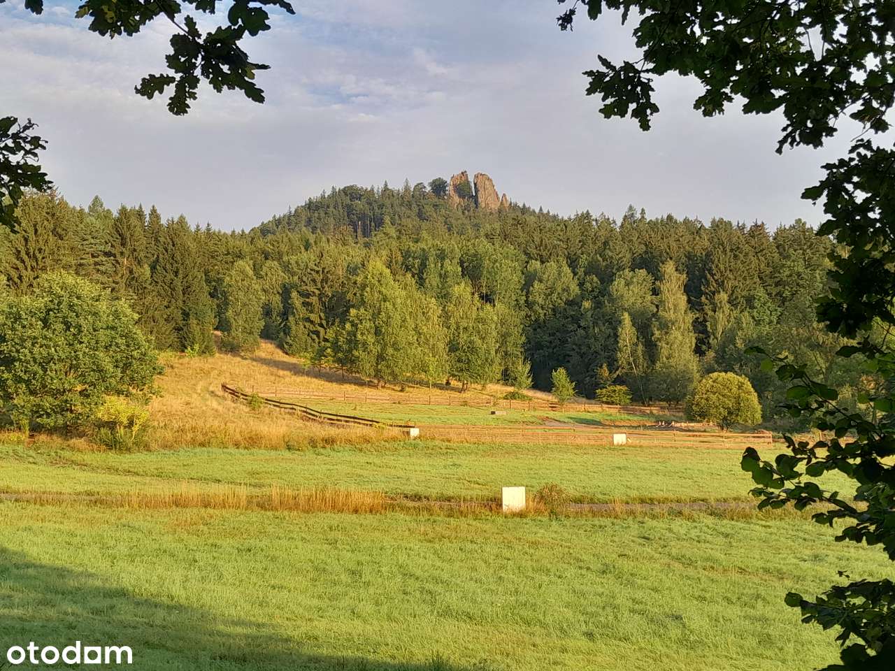 unikalna działka na Górze Sokolik w Rudawach Janowickich - Pełny obrazek: 4/20