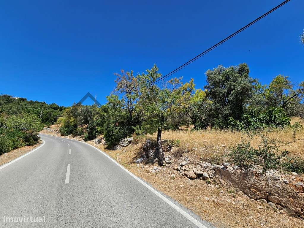 Bonito terreno com ruína em zona calma-13