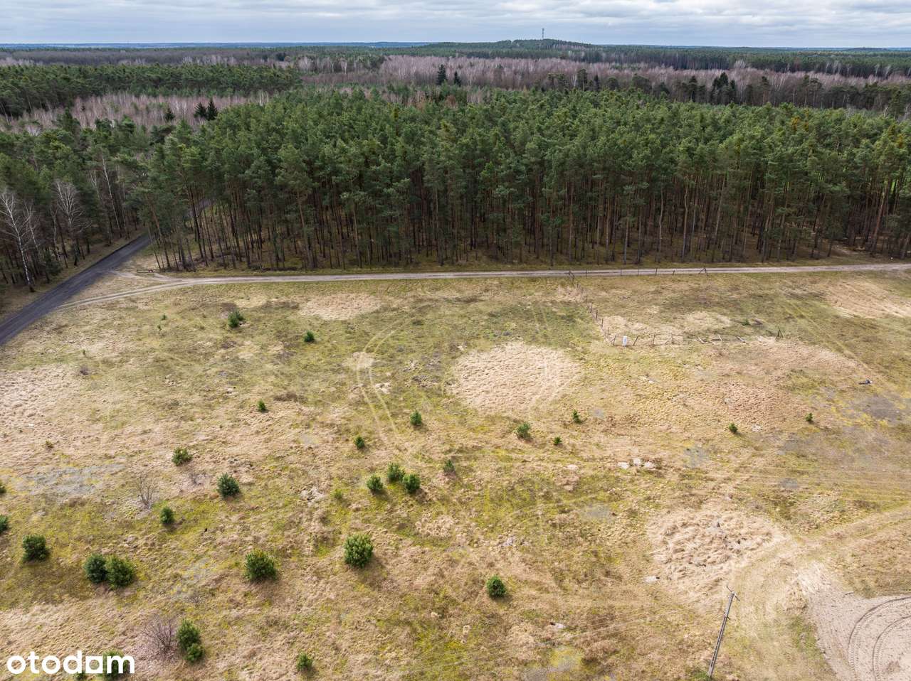 Las za oknem, śpiew ptaków w gratisie, oaza spokoju/Murzynowo Leśne-7