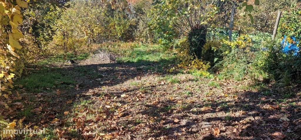 Terrenos Rústicos - Cantelães - Grande imagem: 4/9