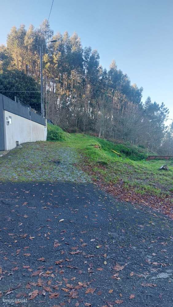 Terreno - Caldelas - Grande imagem: 5/11