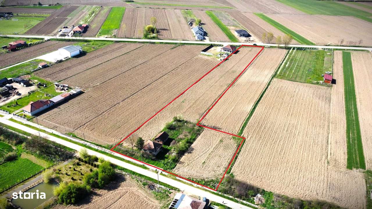 Teren Intravilan-7668mp-Ideal pentru parcelare - Imagine principală: 4/9