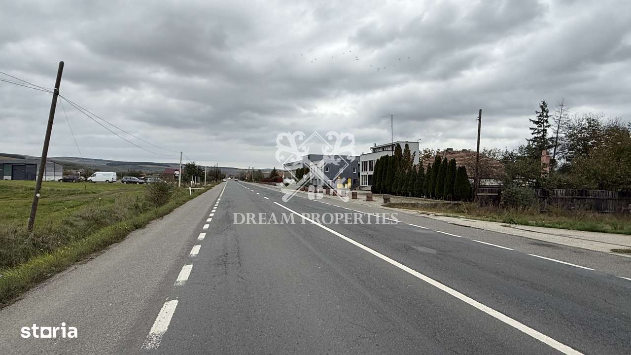 Oportunitate investiție! Teren intravilan, 9300 mp, front la DN, Iclod - Imagine principală: 3/4
