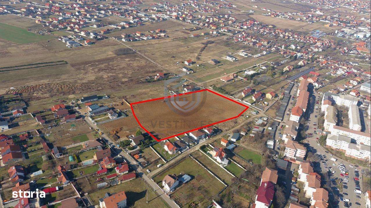 Teren intravilan Sanmartin P+4 - Imagine principală: 2/3