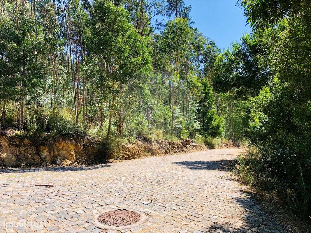 Terreno  para venda - Grande imagem: 3/6