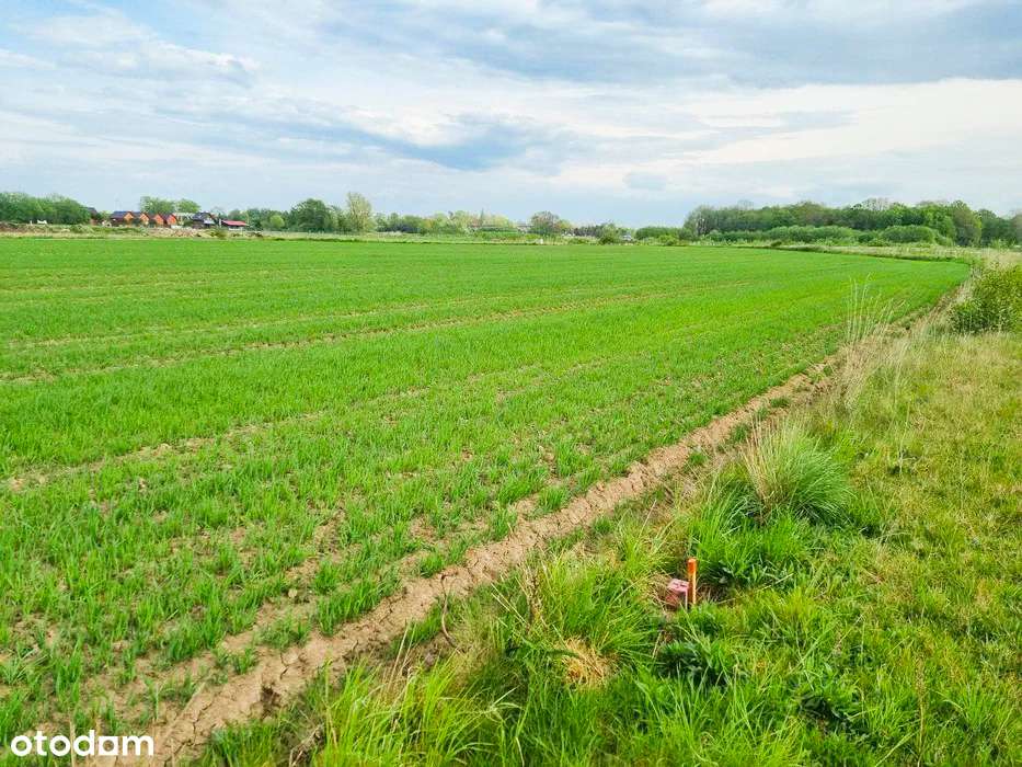 Łącko - działka budowlana blisko jeziora-3