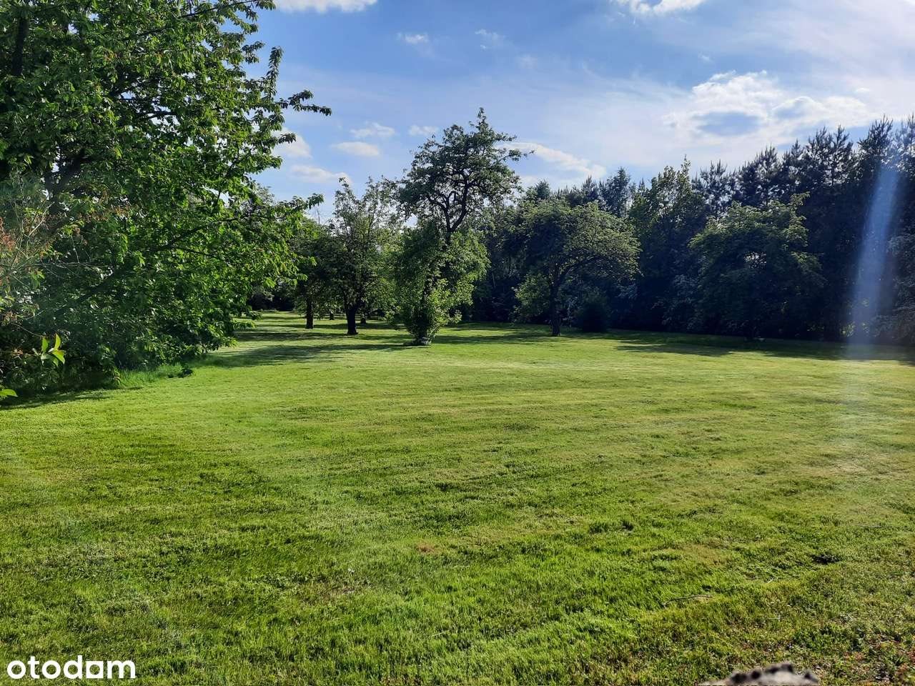 Działka 6600m2 wraz z domem 170m2 i budynkami, Wieluń - Pełny obrazek: 5/19