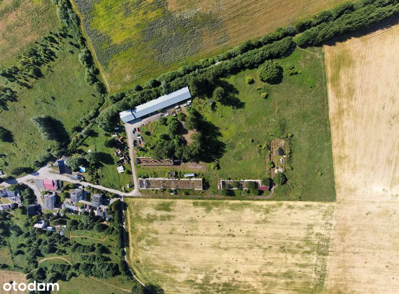 Hala magazynowa, warsztatowa, produkcyjna - Grunt 4,5 hektara-16