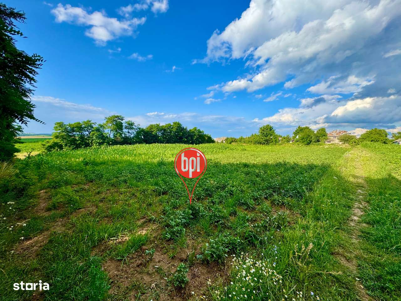 SE VINDE VILA cu 12 cam. “la gri” cu peste 40ari teren in Forasti, SV-17