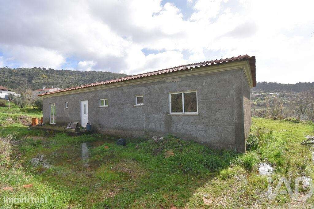 Terreno para construção em São Miguel, Santa Eufémia e Rabaçal - Grande imagem: 2/36