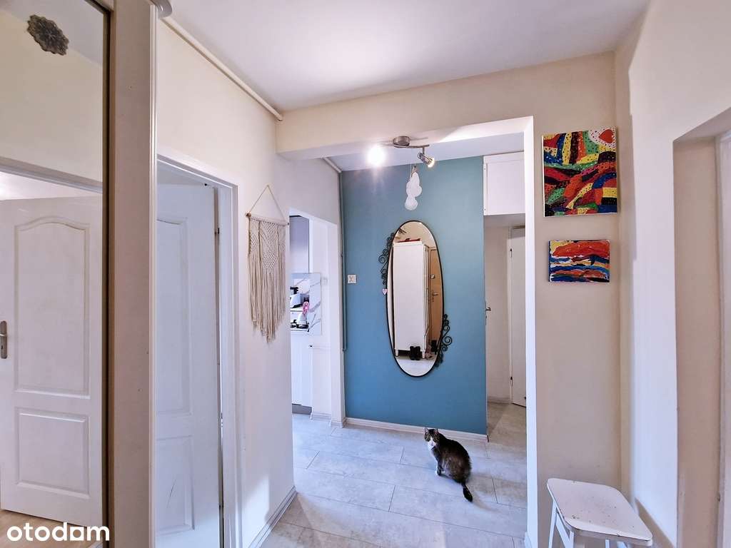 Wygodne 3 pokoje gotowe pod inwestycję - Pełny obrazek: 3/17