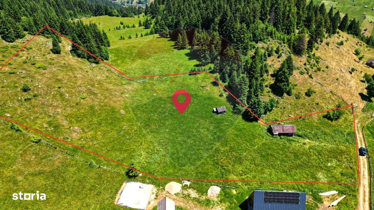 Teren de 7830mp de vanzare in Fundata! Comision 0% - Imagine principală: 1/20