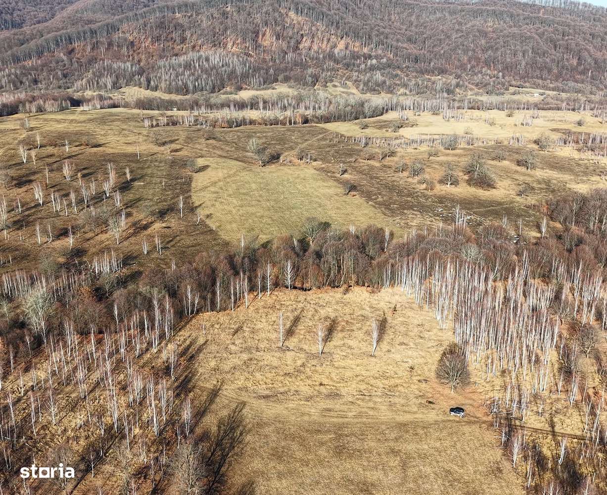 Teren pasune si padure 2,4ha-3