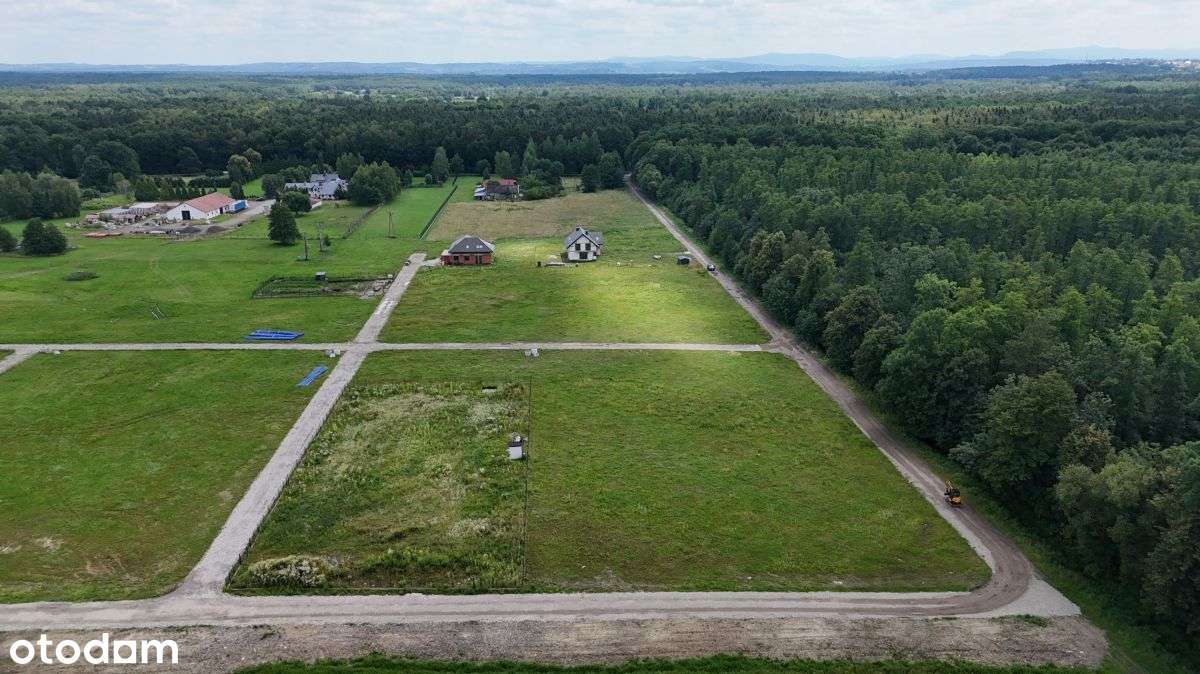 Działka, 3 190 m², Niepołomice - Pełny obrazek: 3/6
