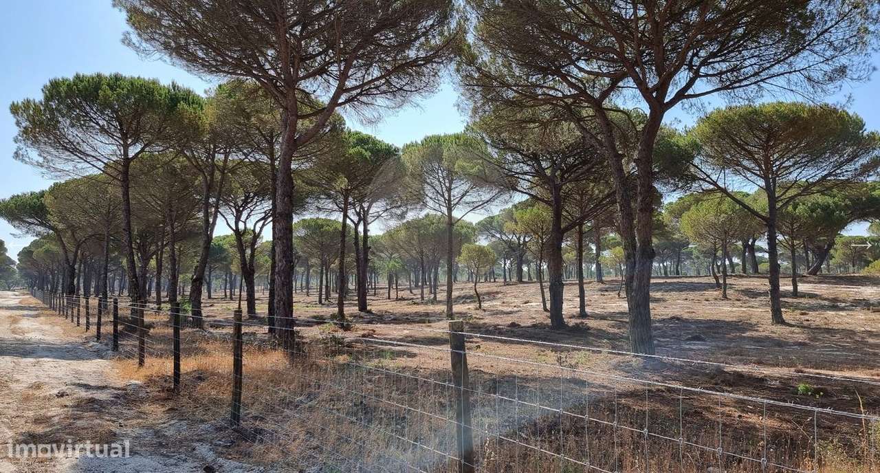 Terreno  para venda - Grande imagem: 2/3