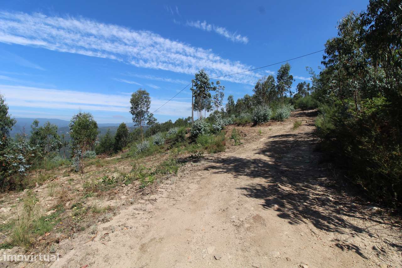 Fantástica Quinta Com Vistas Deslumbrantes Para o Rio-14