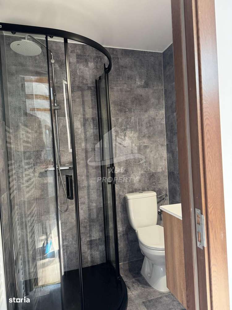 Pensiune/ Vila Valea Avrigului-12