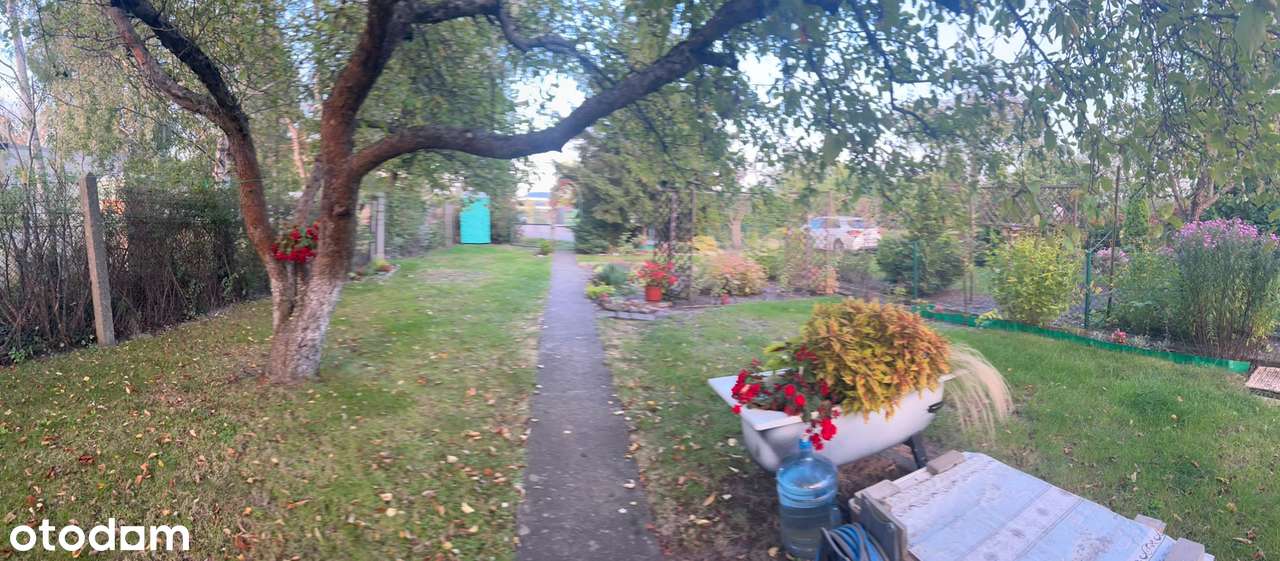 Działka ROD "im. kpr. Benedy" Bydgoszcz - Pełny obrazek: 4/9