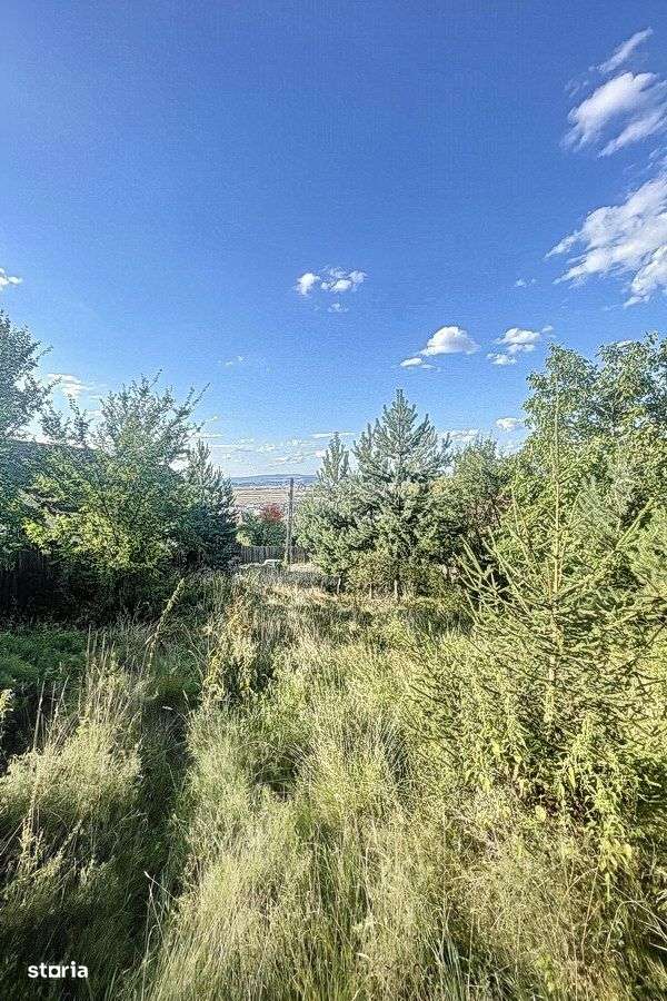 Teren zona Livezii - Imagine principală: 4/9