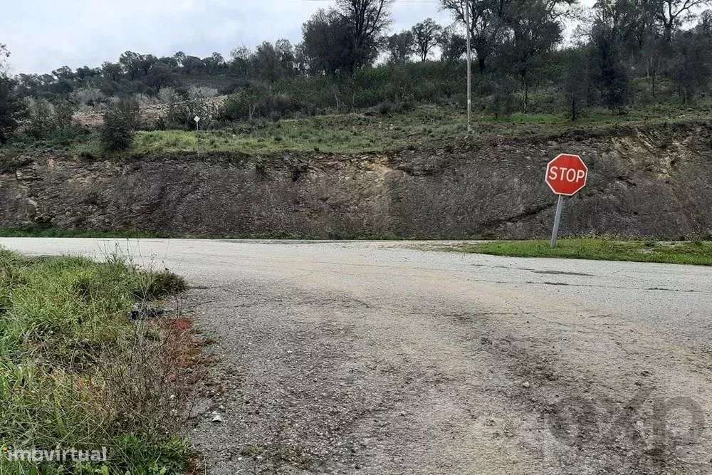 Terrenos Rústicos em Mirandela - Grande imagem: 4/13