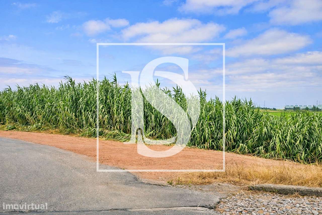 Moradia T3 Venda em Samuel,Soure-48