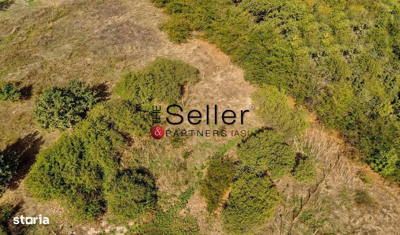 Teren 2.557 mp plan, langa pădurea Galata-6