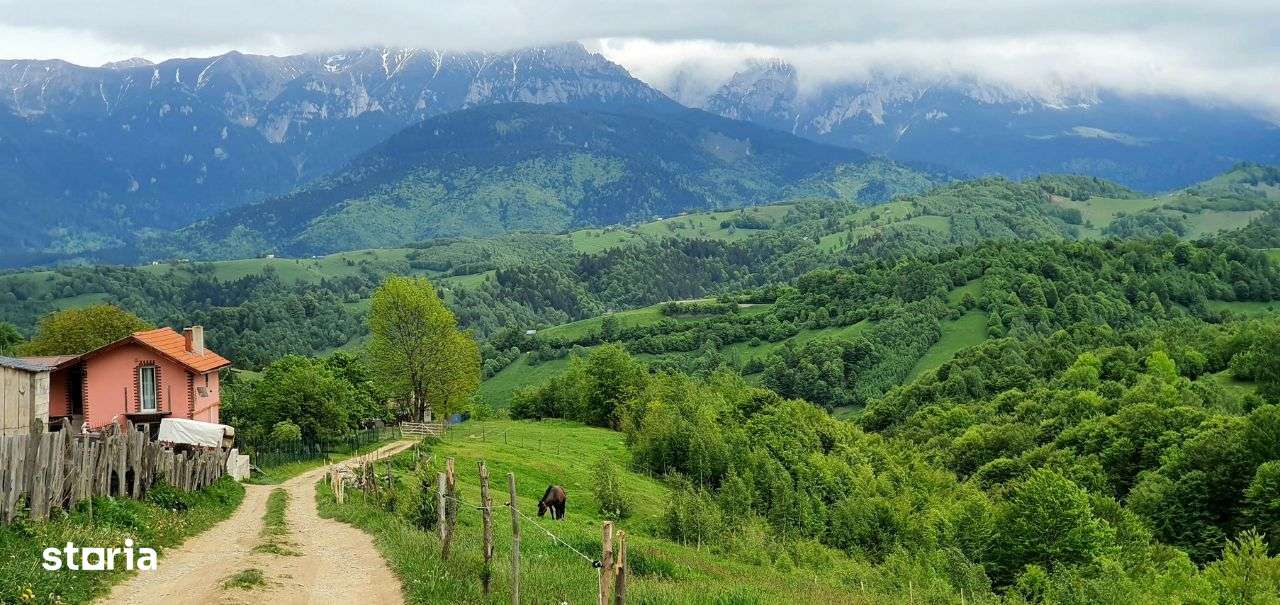 Teren casa de vacanta , Pestera , Brasov-2