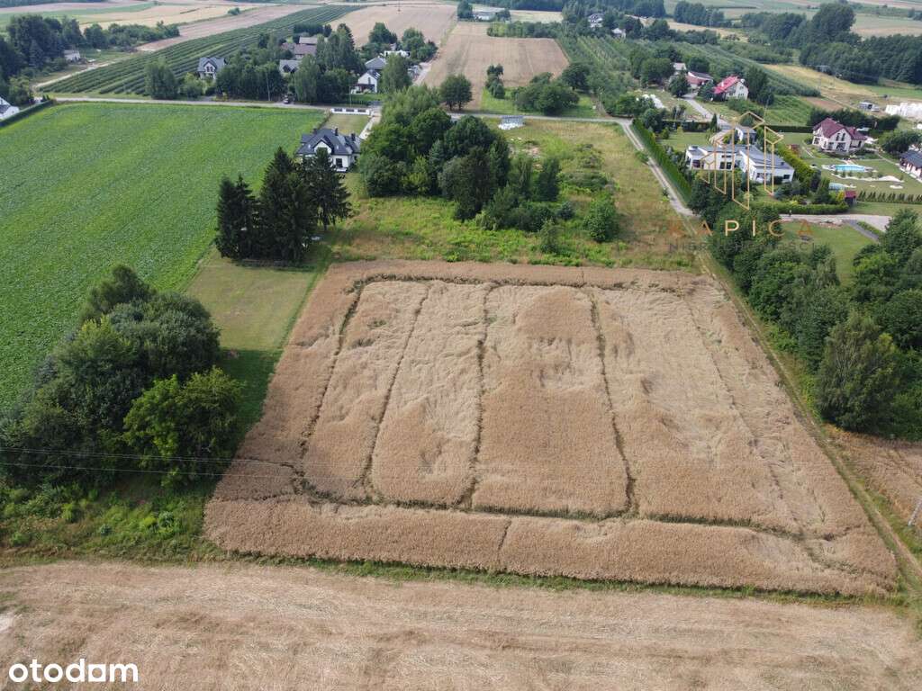 Atrakcyjna działka siedliskowa, Motycz-1
