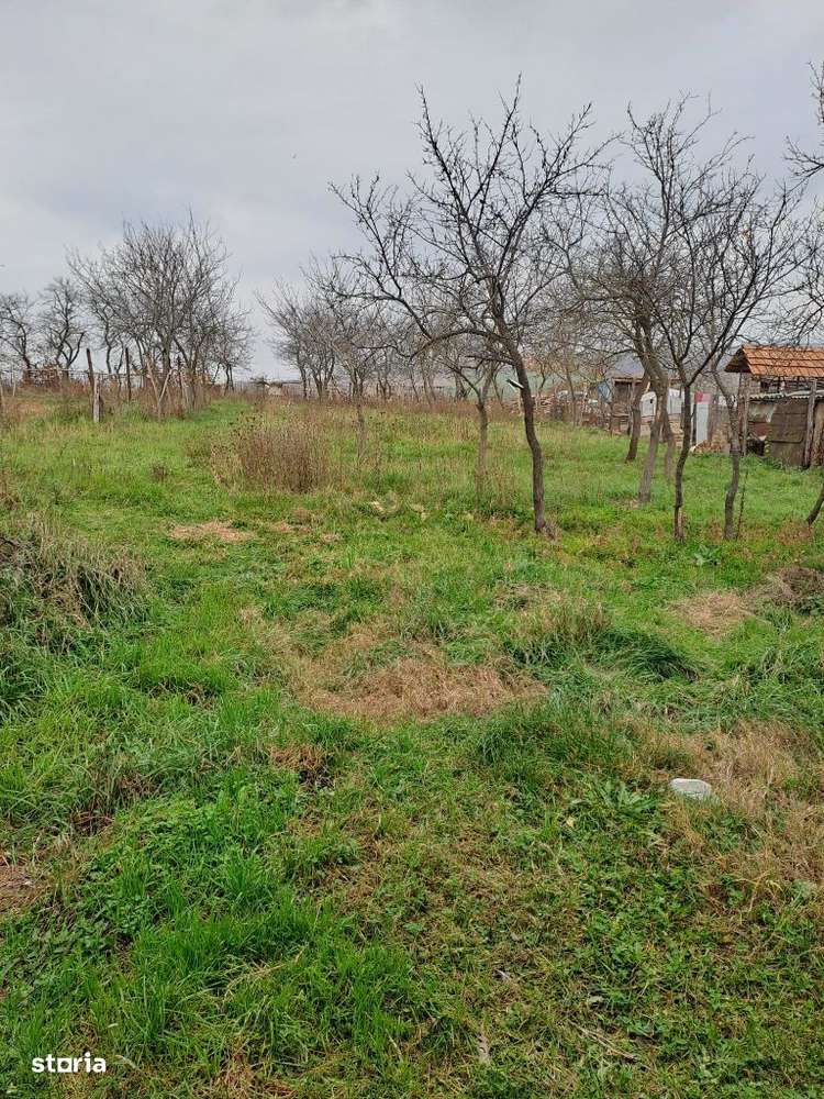 Teren intravilan pentru constructie si livadă în Sântelec, - Imagine principală: 1/3
