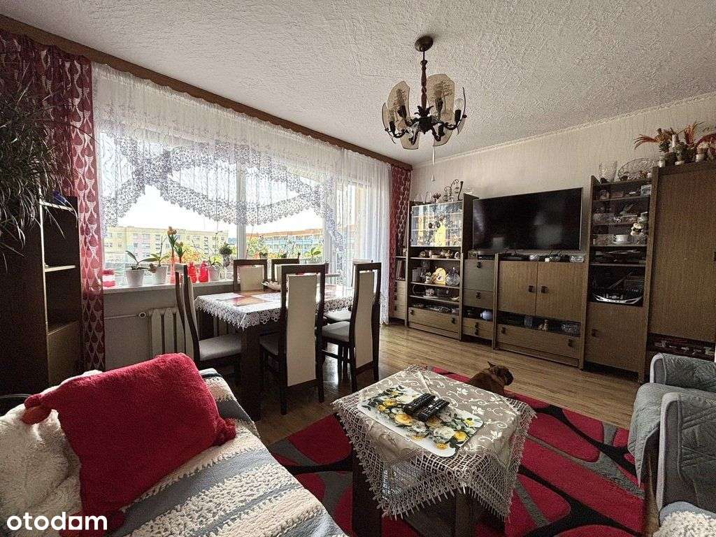 Mieszkanie 3 pokoje w centrum Polic! - Pełny obrazek: 2/12